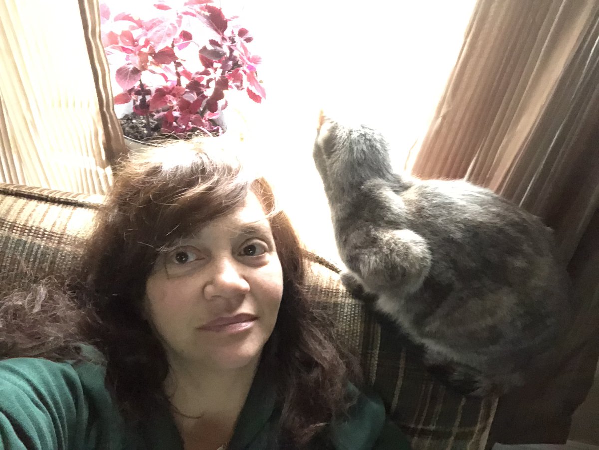 ShelleylDickson's tweet photo. Thunder & I are anticipating this snow they called for …
You know “ snowstorm advisories is much like sex
The more you’re promised
The less you’re gonna get “ 😂🤣
#IAmNotWrong https://t.co/WbJkbvszEp