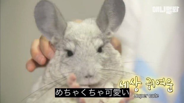 _skycastle_'s tweet photo. チャニくんのラブシーン見ました........ https://t.co/bz154m83uC