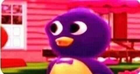 Sᴀsʜᴀ (@scamsandflowers) on Twitter photo 