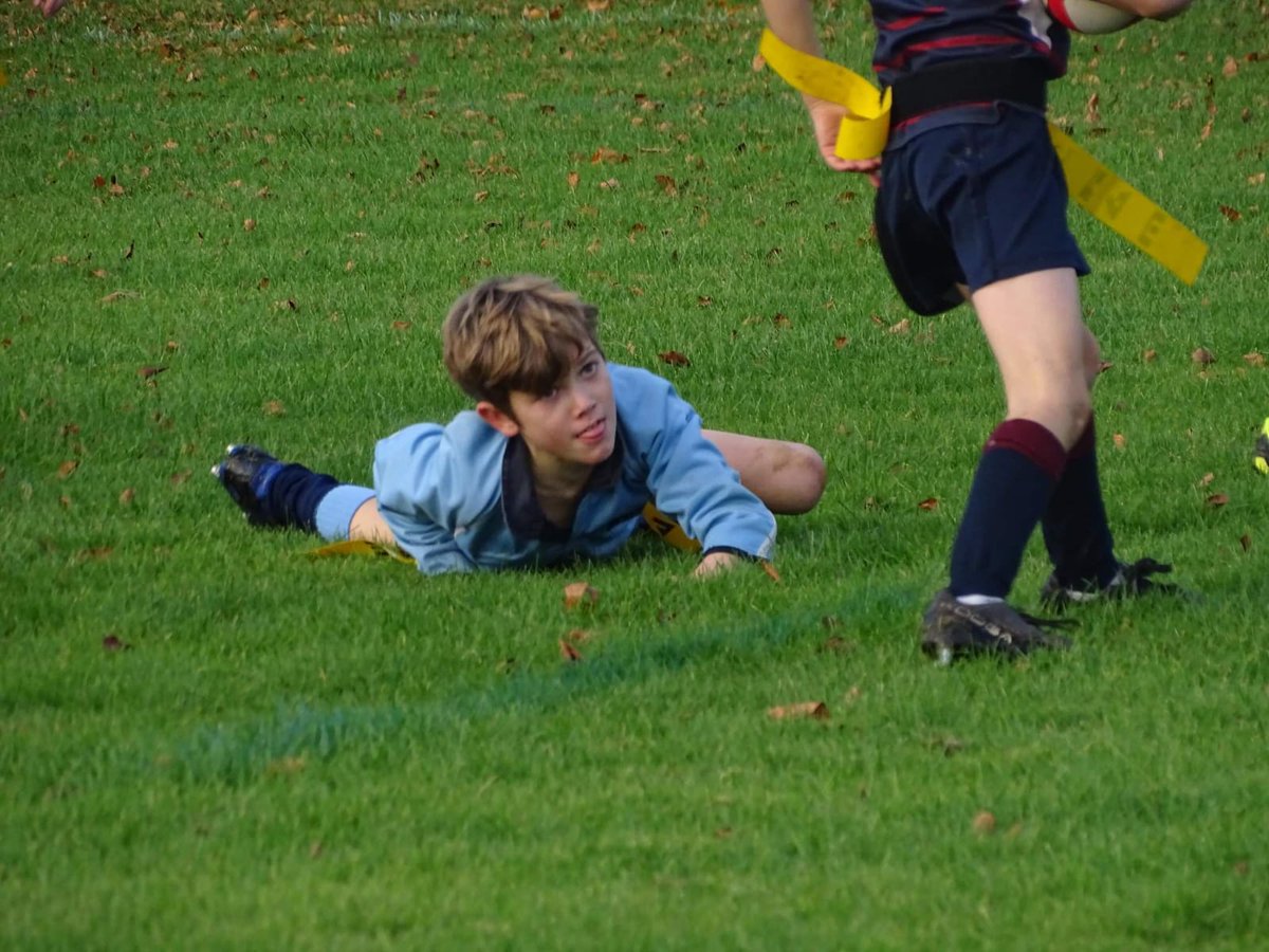 Beeston Hall Sport tweet media