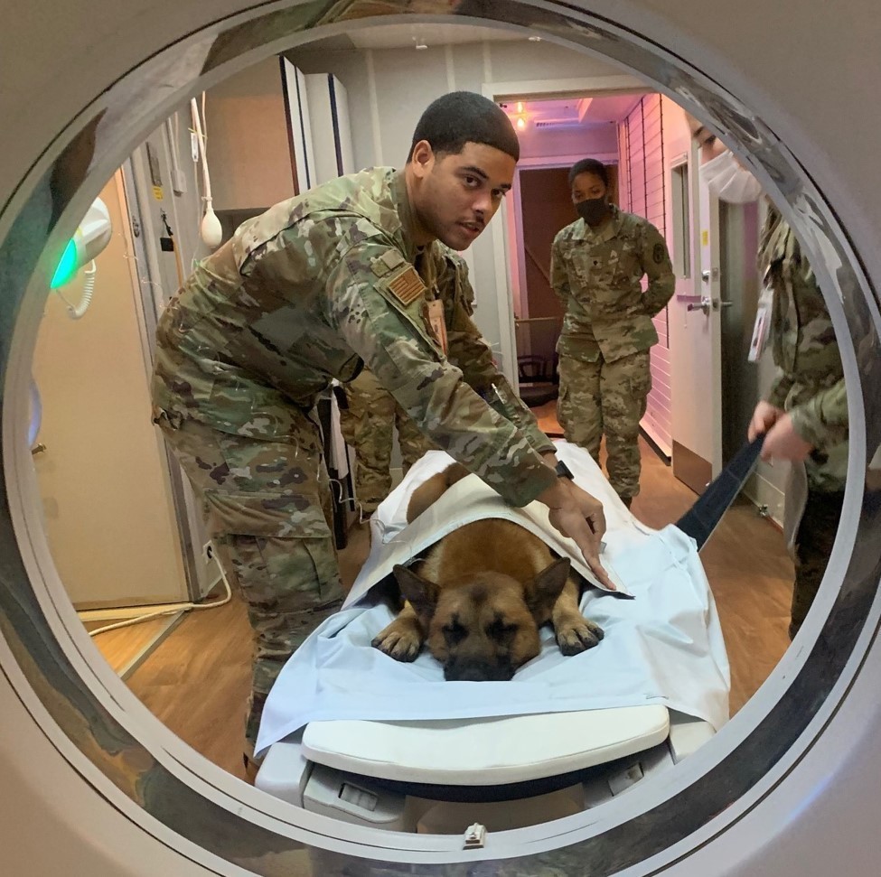 MilitaryHealth's tweet photo. @USAFMedicine Tech. Sgt. Satchit Arias, radiology technician assigned to 374th Medical Group, readies Tek, a military working dog, for a CT scan as @ArmyMedicine Spc. Jyra Griggs, animal care specialist Public Health Activity-Japan, observes at @374AirliftWing, Nov. 2, 2021. https://t.co/WaojvsOsoT