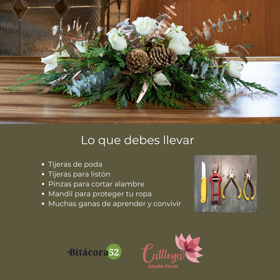 Julia Cuellar tweet media