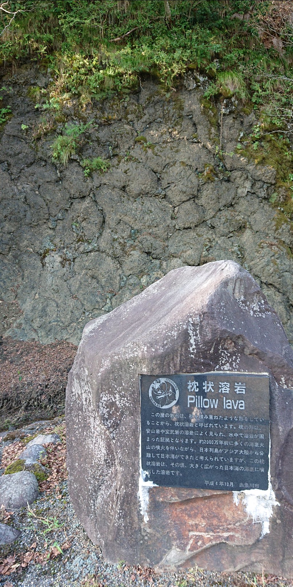 ブラタモリ 新潟県糸魚川市 フォッサマグナ糸魚川 静岡構造線 日本 はどうできた 諏訪解説とは まとめ 再放送無しで見逃し動画配信やロケ地 撮影場所 砂岩泥岩互層 枕状溶岩とは 190 テレビで気になったお店や通販やお取り寄せのまとめ