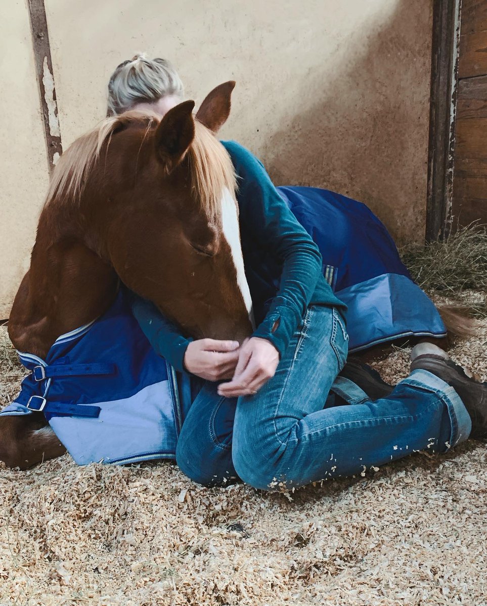 MallareyY's tweet photo. Cuddle buddy 💙 https://t.co/V0Y66orswq