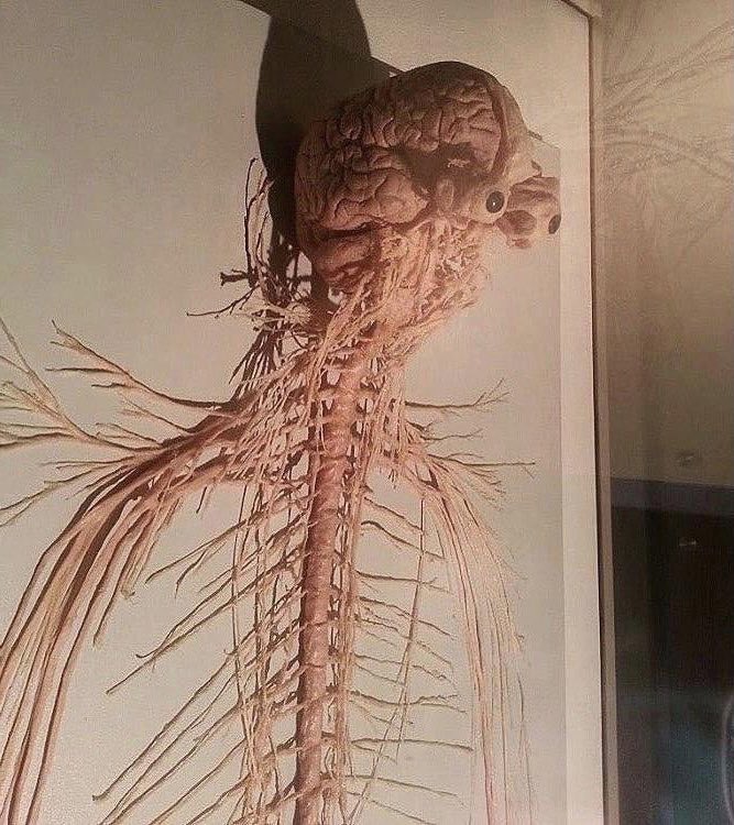 Just you just me tweet media