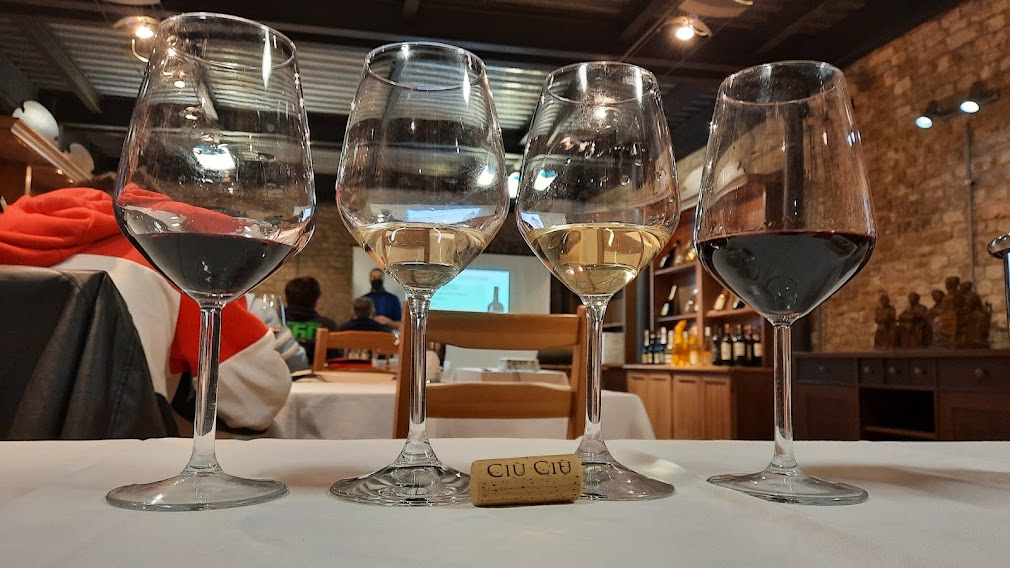 avvinatore's tweet photo. Vini di confine: Ciù Ciù Tenimenti Bartolomei wine tasting, Vinea Qualità Picena https://t.co/heXwhzsbjP via @avvinatore Enoteca Regionale Marche ad Offida #guidedtasting #winetasting @ViniPiceni @WineReviewOnlin @pietrosd @wine1percent @Fra7russo @TheWineTeller @SustainableKW https://t.co/A3KCSV3LDp