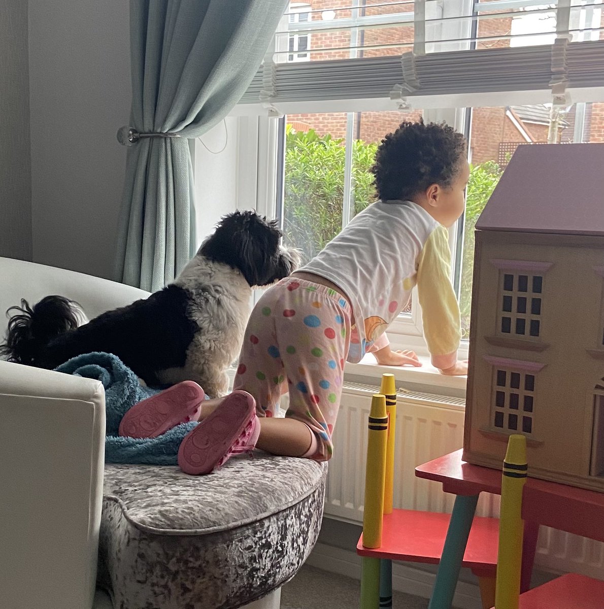 goggleboxemma's tweet photo. Let us OUT #sendhelp #thesetwo #lhasalife #todderlife #housearrest #covidhouse #covidgotus https://t.co/3ksCb7ilFJ