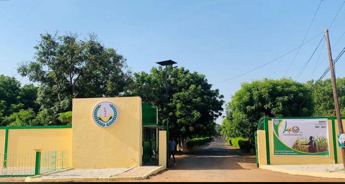 ENSA Thiès/Sénégal tweet media