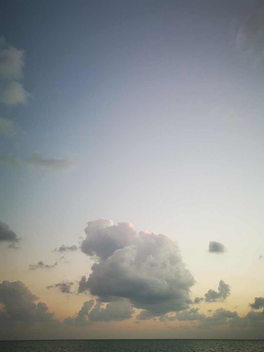 يمكنك النشر