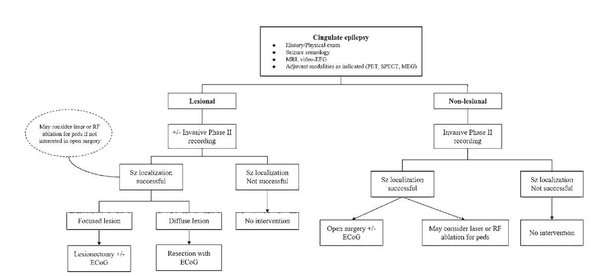 Congratulations to lead author <a href="/kerzoudis/">Panos Kerezoudis</a> and  <a href="/Rohin_Singh1/">Rohin Singh, MD</a> <a href="/GregoryWorrell/">Gregory Worrell</a> for this fantastic state of cingulate epilepsy and proposed algorrithm for treatment in <a href="/TheJNS/">Journal of Neurosurgery</a> 

✔️surgery = low complication rate and high rates of long-term seizure freedom

thejns.org/view/journals/…