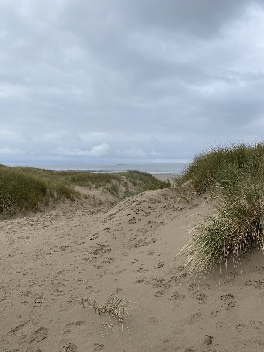 Juggling_Words's tweet photo. Coastal walk just outside of the city. #CardiffRegion #Nature #WinterVibe https://t.co/BvEPUE1fGL