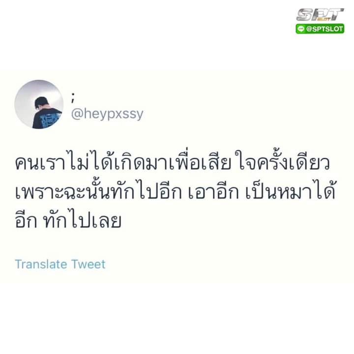 . tweet media