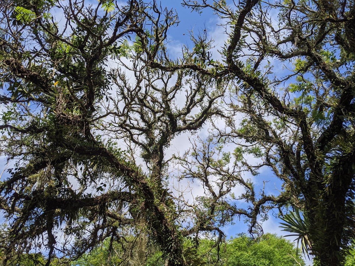 Nature's painting...