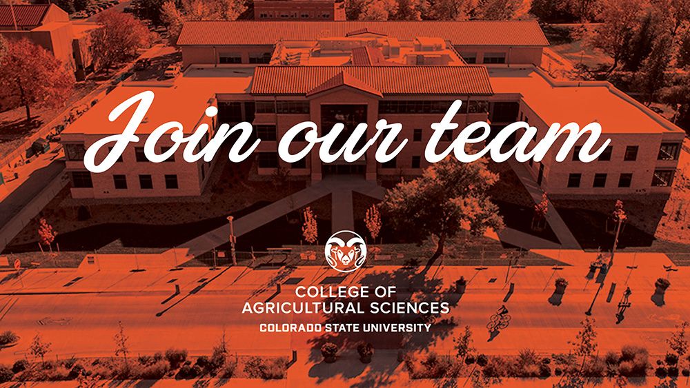 CSUAgSci's tweet image. The College of Agricultural Sciences is hiring a full-time Communications Specialist. Strong candidates will have a bachelor's degree in communication or related field, 5 years of experience, and a versatile skill set in content creation.

Apply by 11/28: jobs.colostate.edu/postings/94227