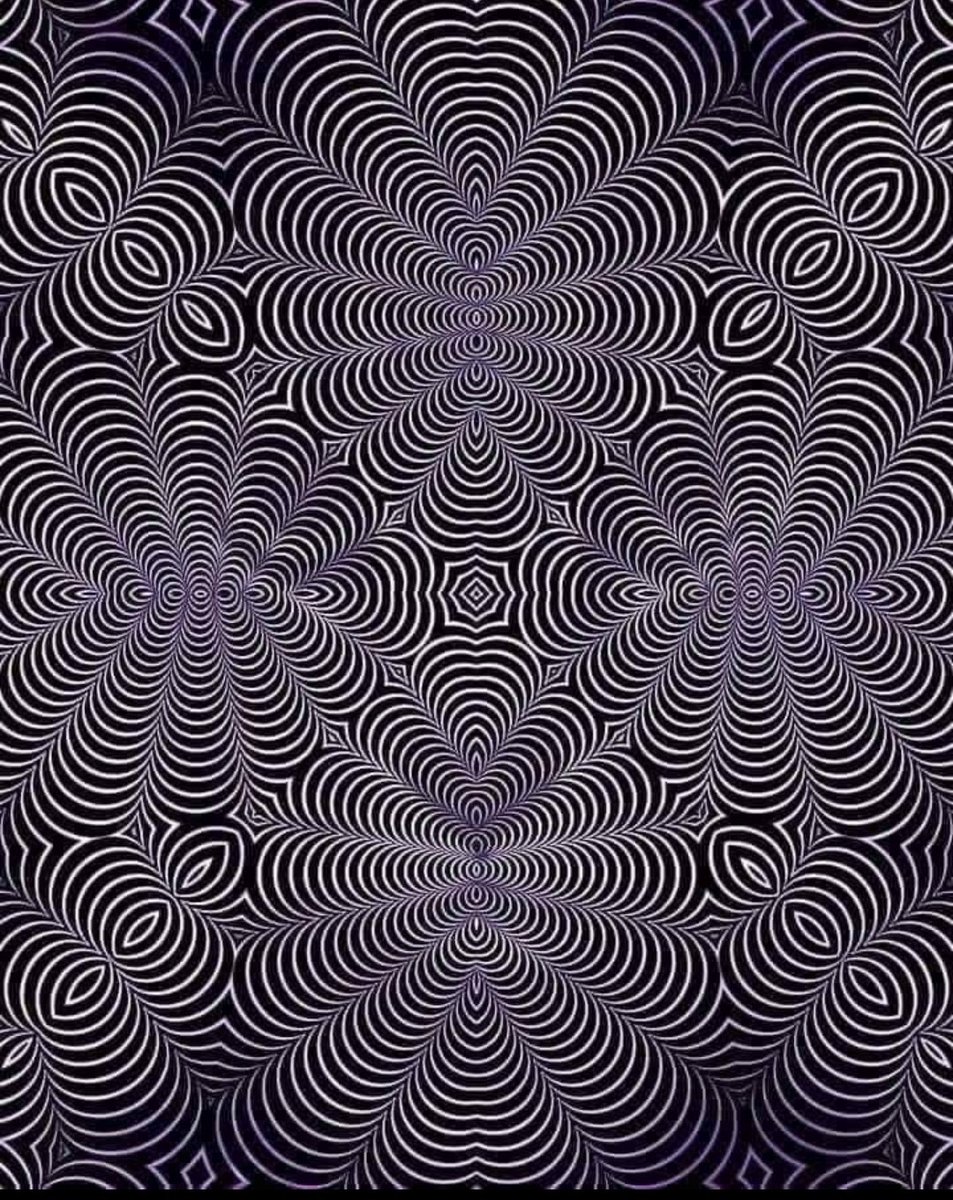 Ne görüyorsunuz???