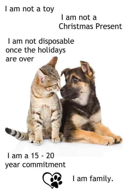 Papa Woof und Krampus und Bleaken (@woofknight) on Twitter photo 