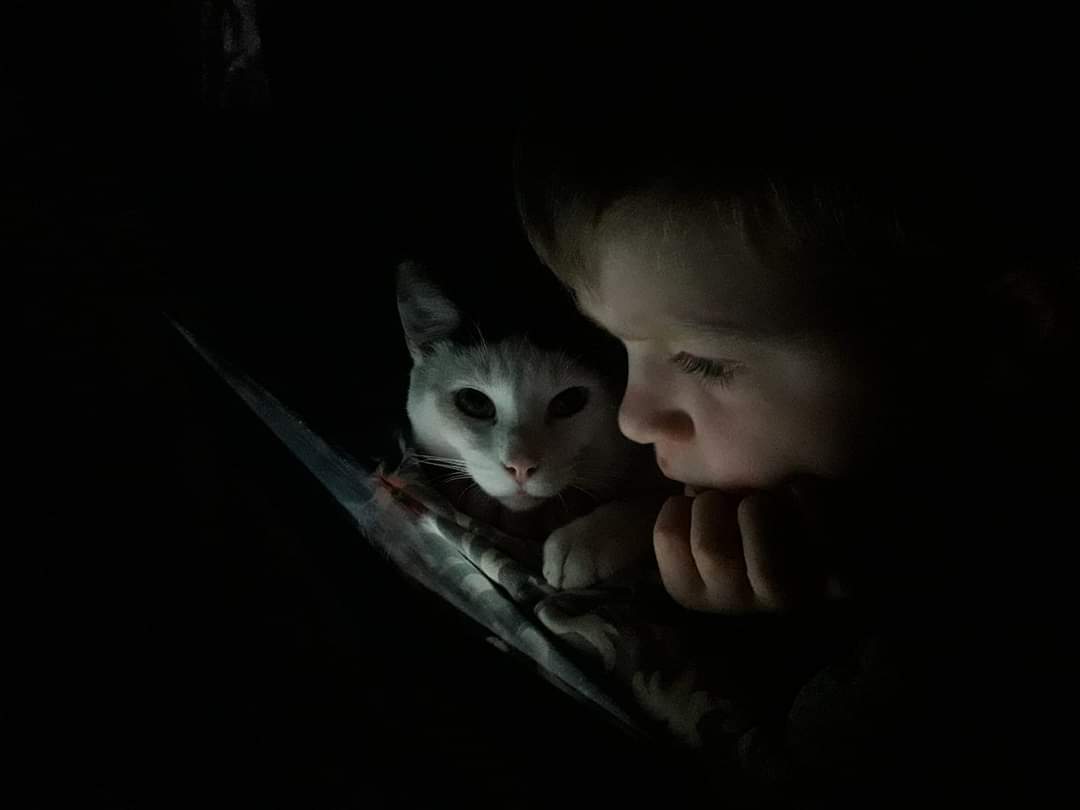 PluisjePanda's tweet photo. Ik met de kleine baas. Lekker in bed film kijken 😻 https://t.co/7QSXMON32c