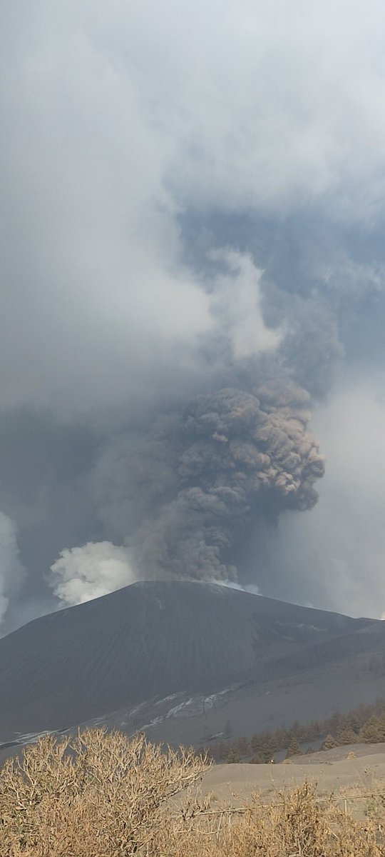 La Palma eruption upgraded to VEI-3 event FEpVWbkX0AQSiQf?format=jpg&name=medium