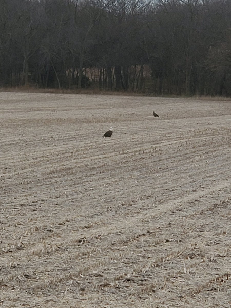 Greg Carpenter tweet media