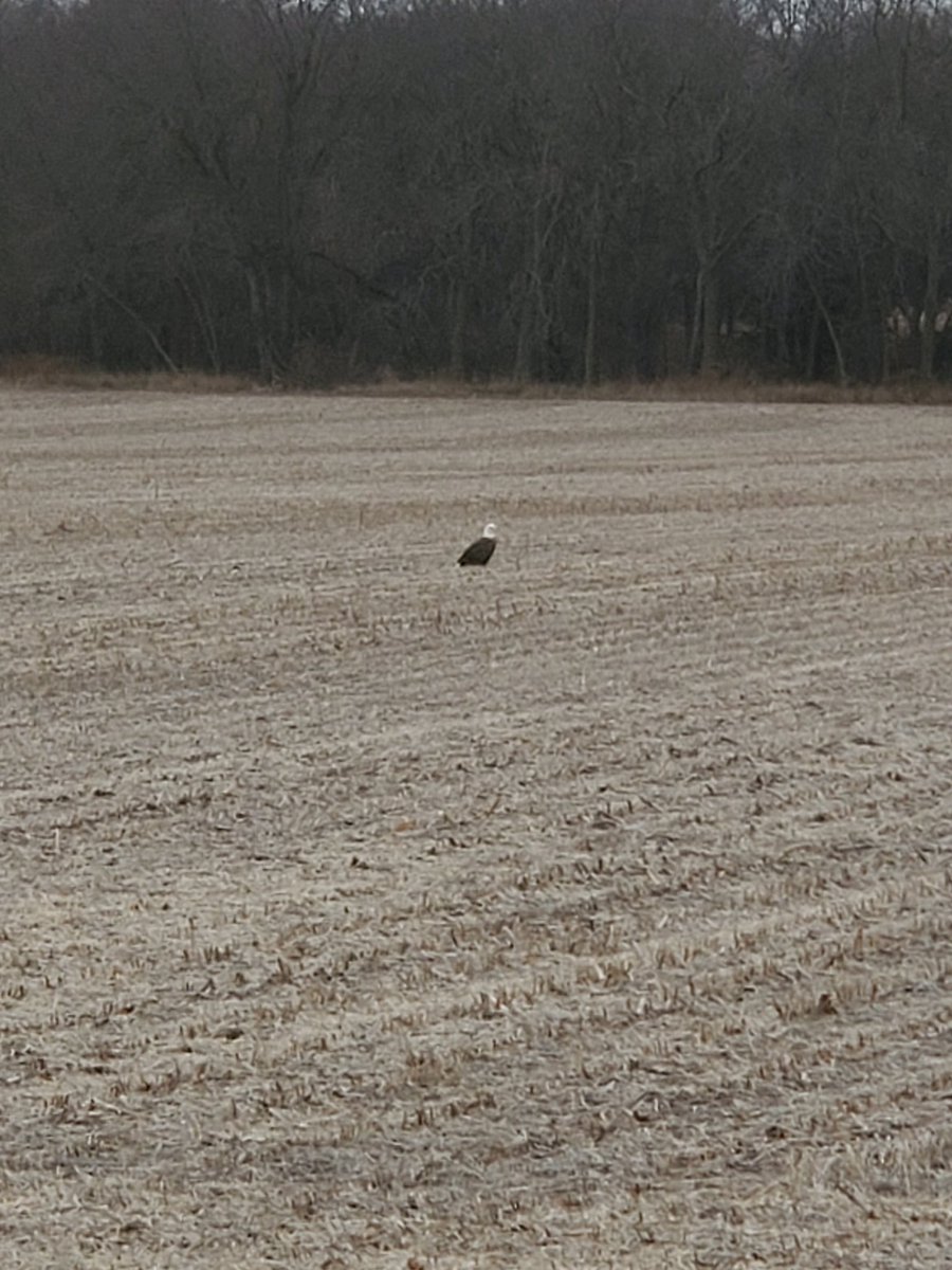 Greg Carpenter tweet media