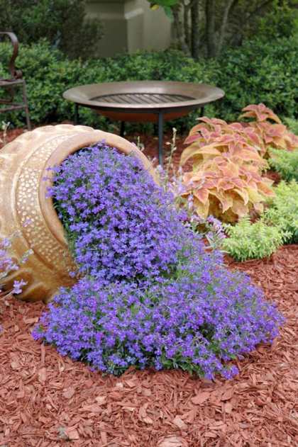 CasaLettori's tweet photo. Grazie per i tantissimi pensieri affettuosi

Sono in attesa di sottopormi ad altri accertamenti 

Mi scuso ancora se non riesco a RT i vostri bellissimi tweet 

Una cascata di fiori per tutti voi

Maria Anna https://t.co/uhokEwIoCa