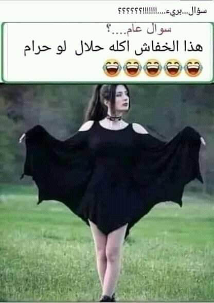 Tq998's tweet photo. هذا الخفاش اكله حلال ولا حرام https://t.co/zGQL8e3i4g