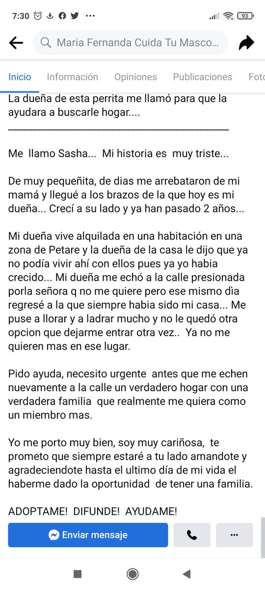 Sarahmesnik's tweet photo. Estaban buscándole hogar con la amenaza de abandonarla porque no se la permitían más en casa "porque ya creció". A la perra la dejaron totalmente indefensa, amarrada con el riesgo de ahorcarse por la desesperación, en un monte donde su vida corría peligro, aterrorizada... Cont... https://t.co/yW2CL1n8ir