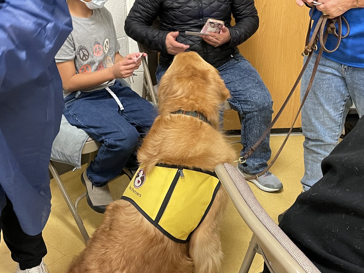 MsReadPrincipal's tweet photo. Buster’s friends Chia, Ellie, Gossamer, and Scout, and their handlers were on hand to support students at the D105 optional COVID-19 Vaccine Clinic. @busterbringsjoy #TheD105Difference https://t.co/Xt0d3Vfhuf
