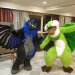 Photo by WingThings (@wing_things)