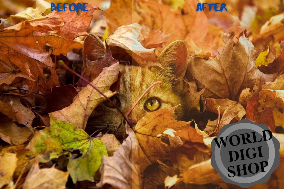 WorldDigiShop's tweet photo. 🐣. Offer Xtras! 85 Matte Lightroom Presets Exclusive Collection, Matte Preset, Mobile Presets, Desktop Presets, Matte Lightroom, DNG, XMP, Lrtemplate for $13.60 #MattePresets #LightroomPresets https://t.co/cJCjttb65b