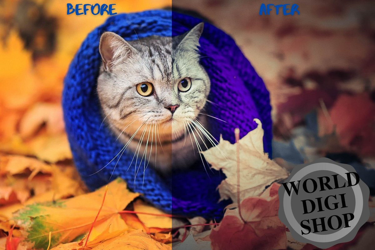 WorldDigiShop's tweet photo. 🐣. Offer Xtras! 85 Matte Lightroom Presets Exclusive Collection, Matte Preset, Mobile Presets, Desktop Presets, Matte Lightroom, DNG, XMP, Lrtemplate for $13.60 #MattePresets #LightroomPresets https://t.co/cJCjttb65b