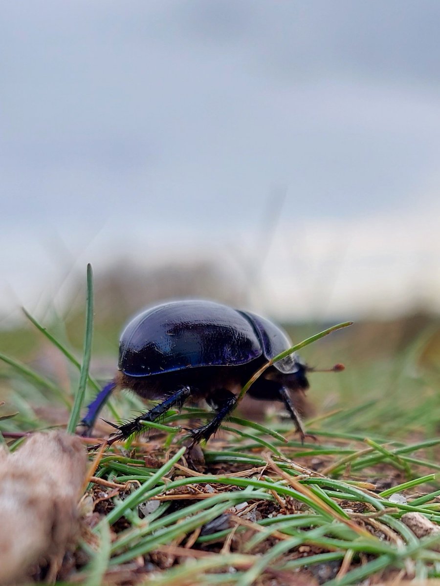 Weepeebee's tweet image. Laag bij de grond