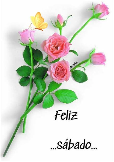 JimenezYanis's tweet photo. https://t.co/F09Mwu6YLP