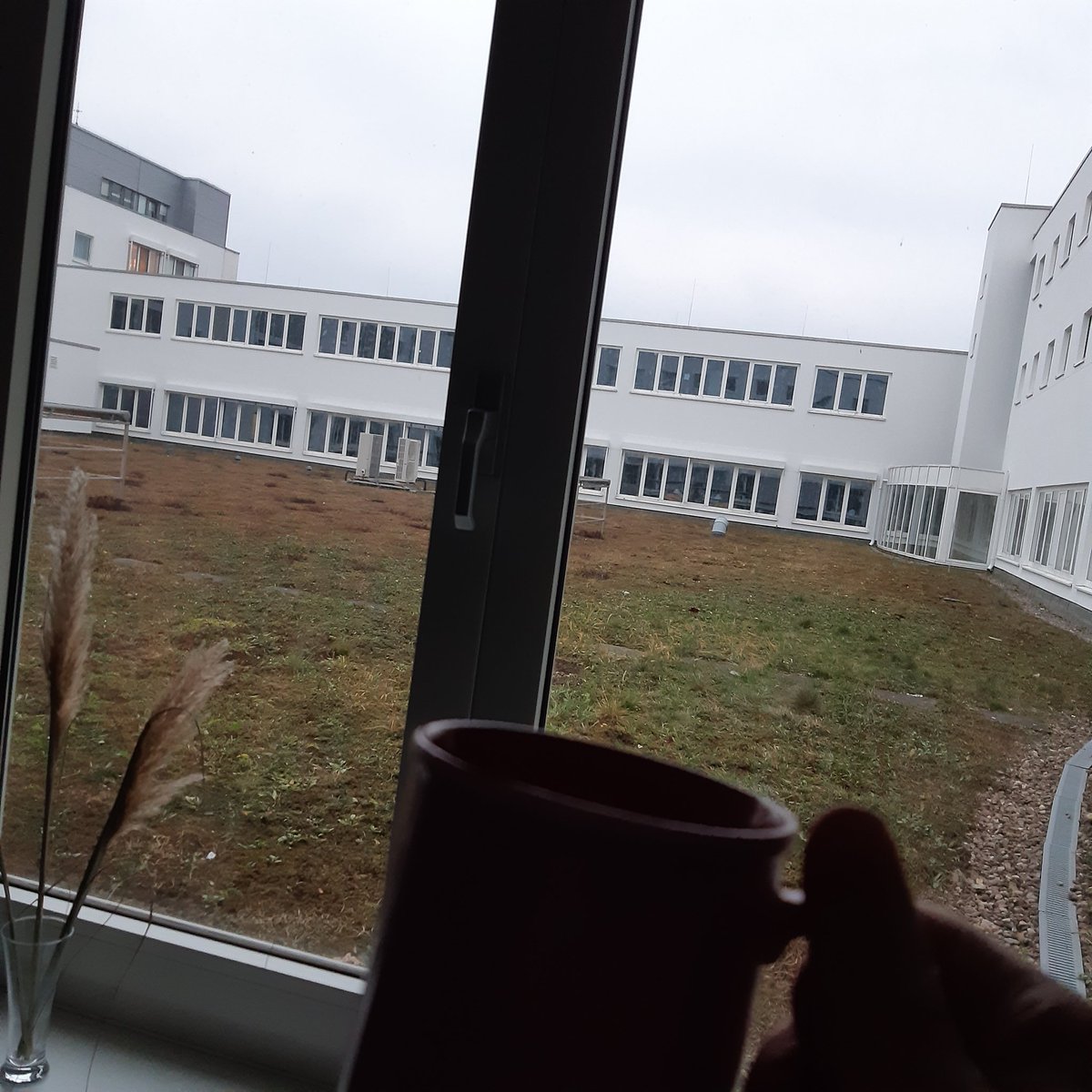 Stb_Bielefeld's tweet photo. Schnell noch einen Kaffee, aber dann ist endlich Feierabend. Über dem #SamsDach bricht schon die Dämmerung herein.
Die Bibliothek am Neumarkt ist noch bis 20 Uhr für Euch geöffnet.
Schönes Wochenende 💫
!B https://t.co/TV5UTazcm1