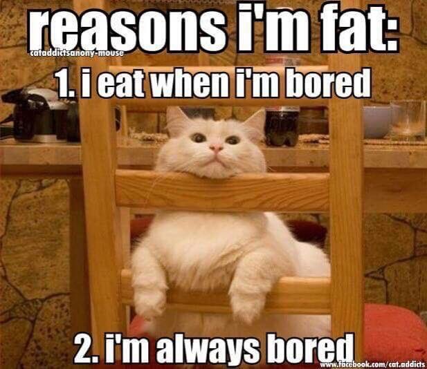 I am boring. Don t get bored. Don t get bored. Don t get bored. Don t get bored.