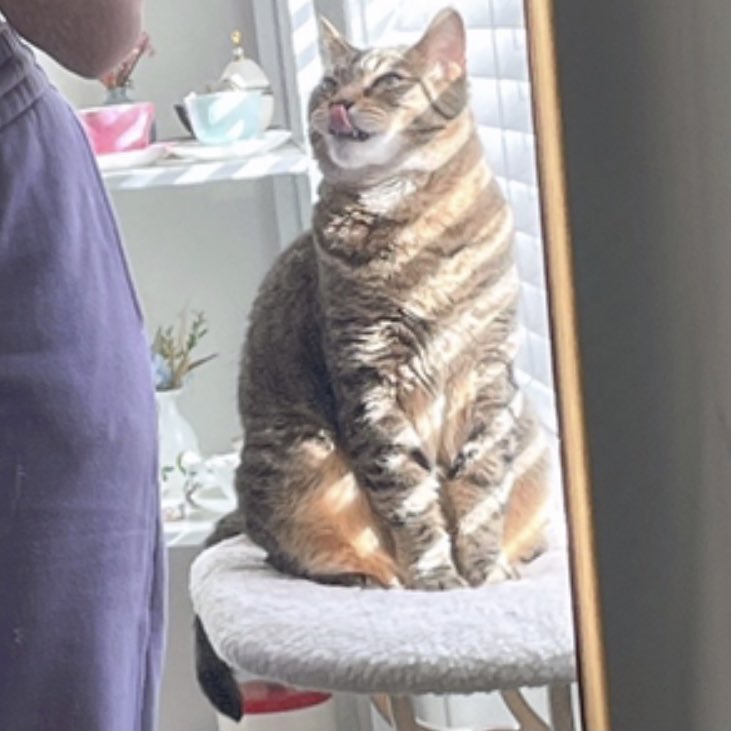 got cute joggers for my bday~