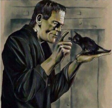 Good Caturday Morning!☕️☕️☕️