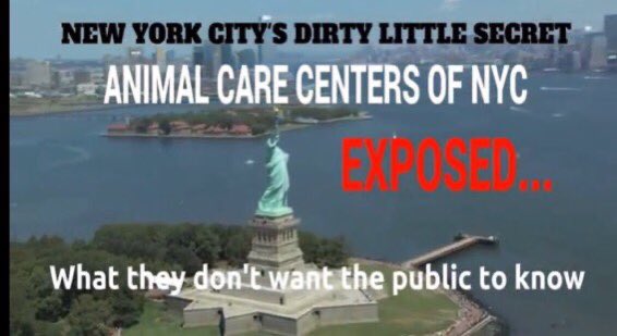AnubisSekhmet's tweet photo. @NYCHealthCommr Alora was traumatized, coping with anxiety after being locked in a car trunk. No one knows why she was there. Did @NYPDnews investigate? 

The facility that you @davechokshi oversee did not give her a chance to decompress from the terror she went through. The @NYCACC killed her. https://t.co/c8gJ0fAXyB