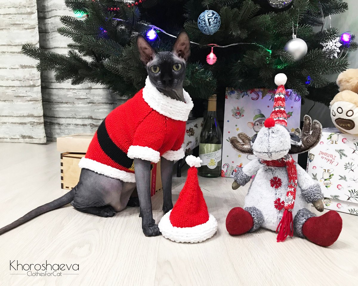 ClothesForCat's tweet photo. Excited to share the latest addition to my #etsy shop: Christmas Seamless sweater for THIN cat knitting pattern + The pattern supplement // Cat santa sweater https://t.co/9drSu3KY7c #barbatmitzvah #christmas #knitting #christmascostume #catknittingpattern #christmasswe https://t.co/CgVmFAd4jv