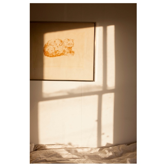 65% FUNDED! ONLY 10 DAYS TO GO! Help make it happen! <a href="/KICKSTARTER/">Kickstarter</a> ENDS 30Nov 4pm
'A Stranger in My Mother’s Kitchen'; a 5 year exploration into the grieving process, told through my photographs, writing &amp; cooking my mother's recipes, to be published by <a href="/DewiLewis/">Dewi Lewis</a> #ProjectWeLove