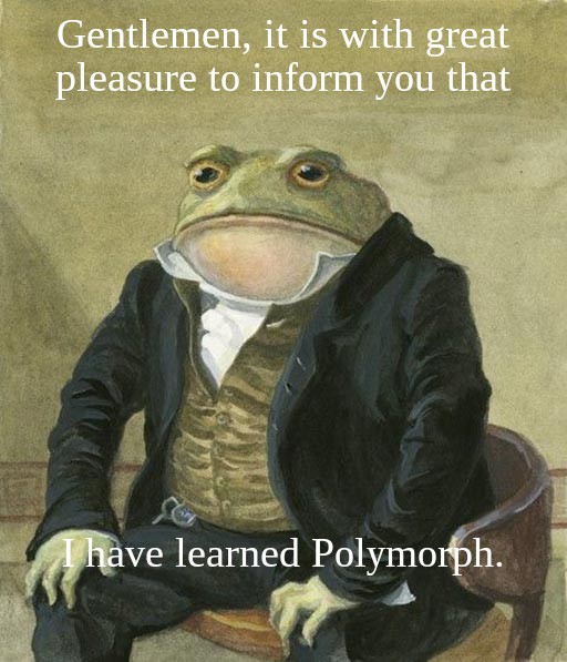 bea_dnd's tweet photo. Morning World! Off to the shop, expect armour and swords today!
And frogs. Not sure where this came from, just made us laugh! Have good day everyone!
#BeaDnDGames #Wellington #Felag #NewZealand https://t.co/B7lSWVCfqp