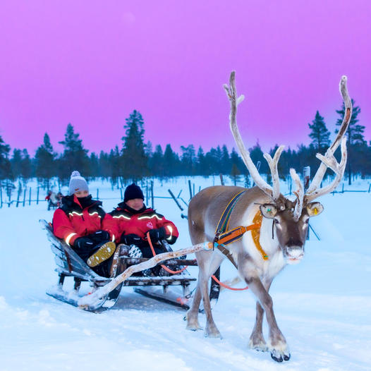 ScandiSales's tweet image. More than a vacation! Scandi Travel bring you an Arctic Circle adventure where you experience the Northern Lights up close. Meet with Santa Claus, enjoy of riding on our lovely huskies, feed reindeers, seat at the campfire at night and much more: 
scandi.travel/product-catego…