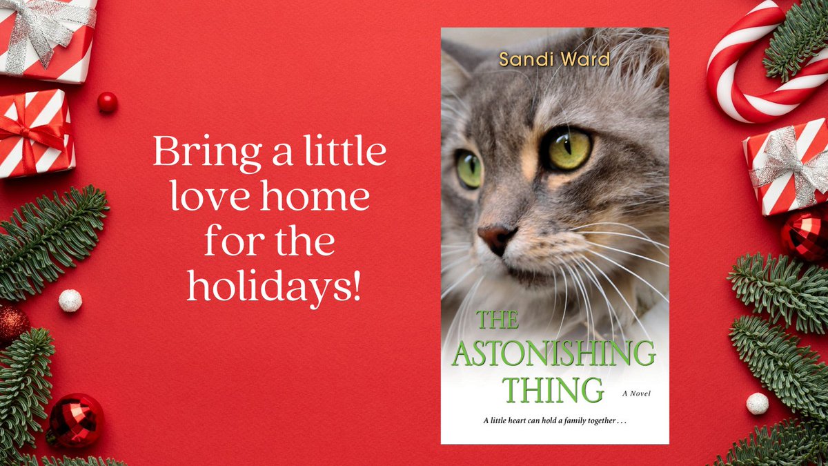 Happy #Caturday! Looking for holiday #giftideas? The Astonishing Thing might be appreciated by people who love books and cats.❤️ (You know, the cool people! 😂) amzn.to/30F5VUJ