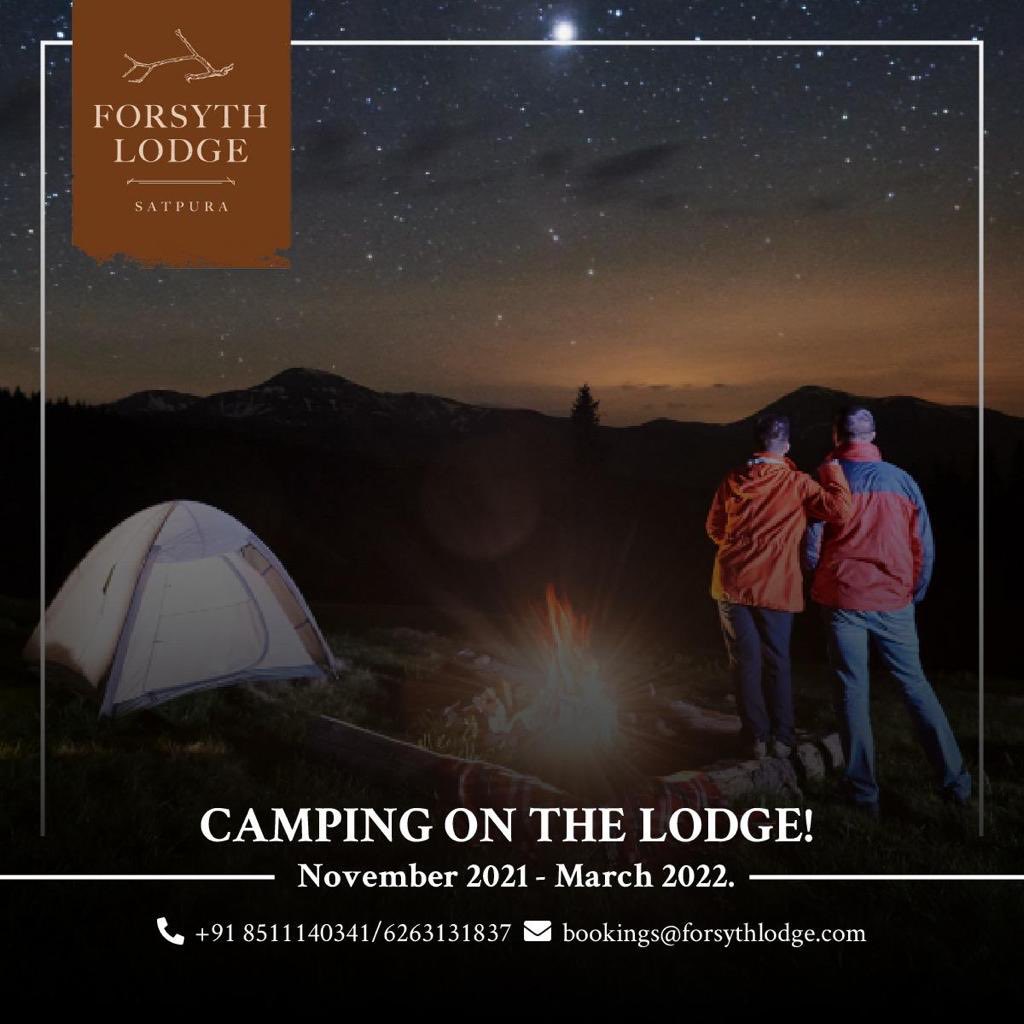 ModyJaydev's tweet image. 