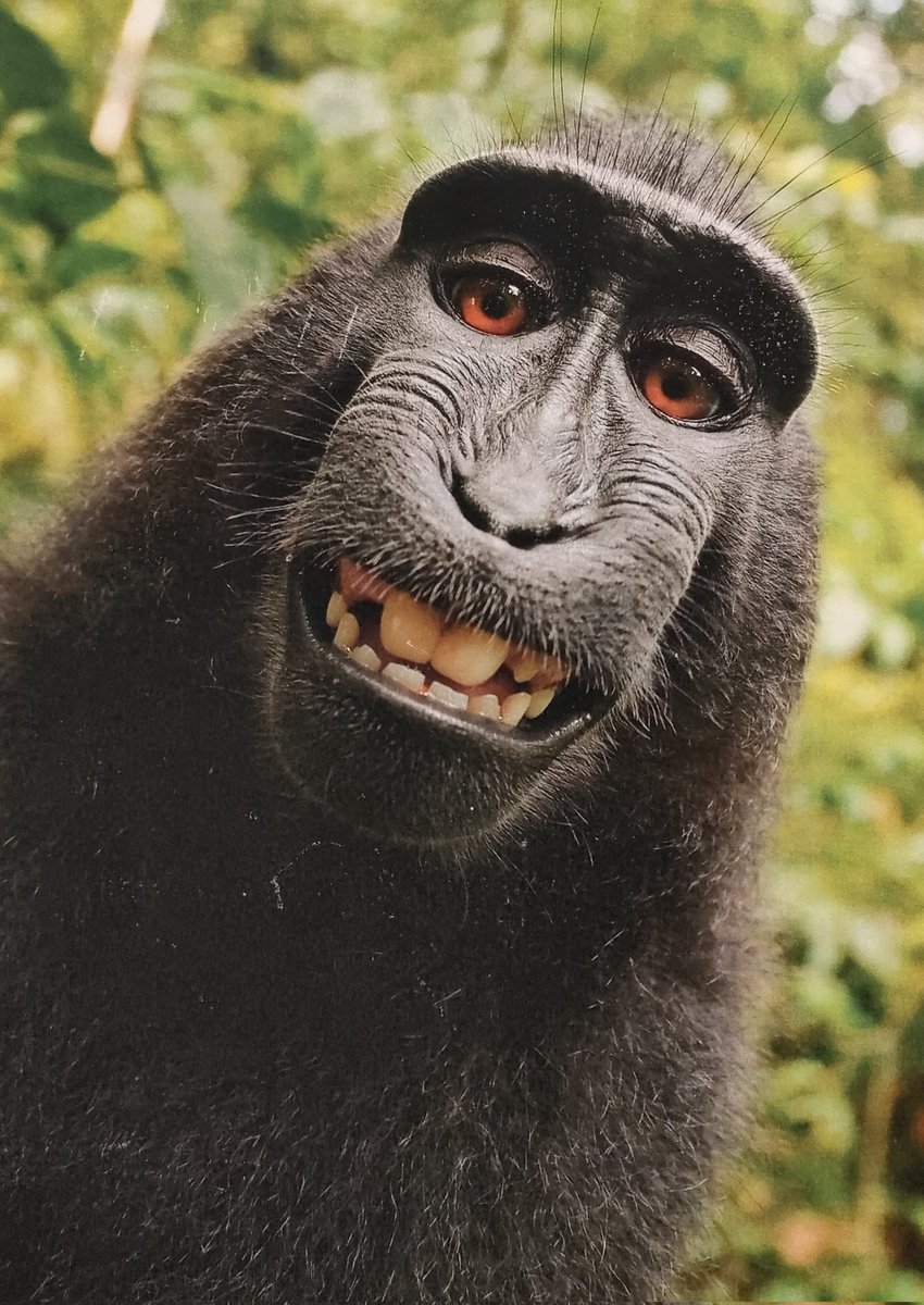 ZuberGregovic's tweet image. #Venice
#BiennaleArchitettura2021 
#FutureAssembly 
"The principle of protection and well being to be applied not only to humans but to all the environment,including animals,plants,air,water, soil...a social alchemy embracing the whole world planet"
Earth Is Home to All
#Respect