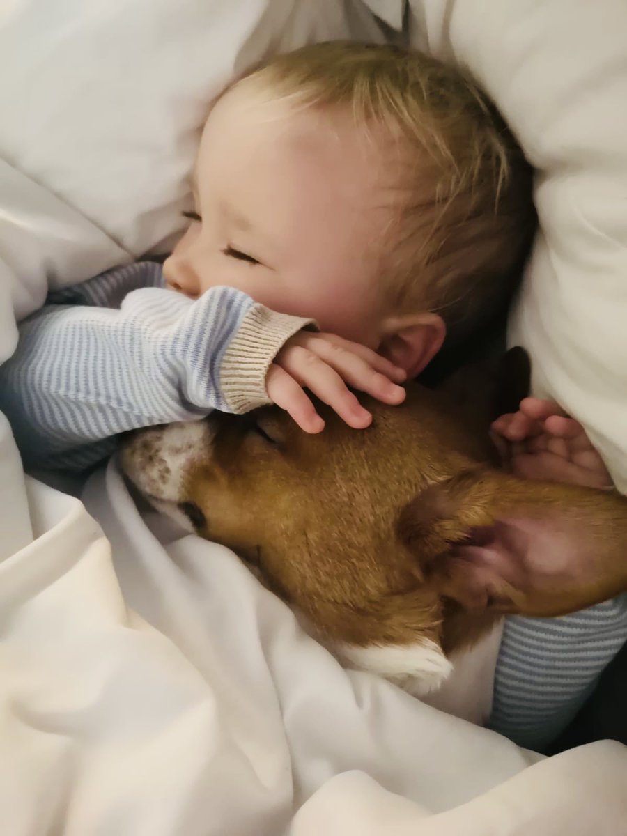 Afternoon nap with buster! Better than watching that awful game