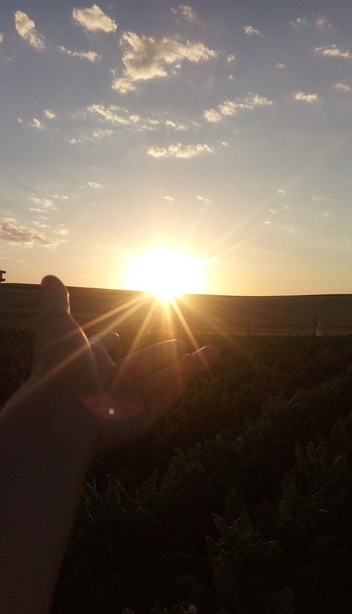 hayatımızda ve ilişkilerimizde;
taşın, 
kuşun,
insanın,
havanın,
toprağın,
komşunun,
ÇOCUKLARIMIZIN
hakkını kendilerine teslim edelim.
<a href="/Ayhanisik37/">Ayhan IŞIK</a> 

#DünyaCocukHaklarıGünü