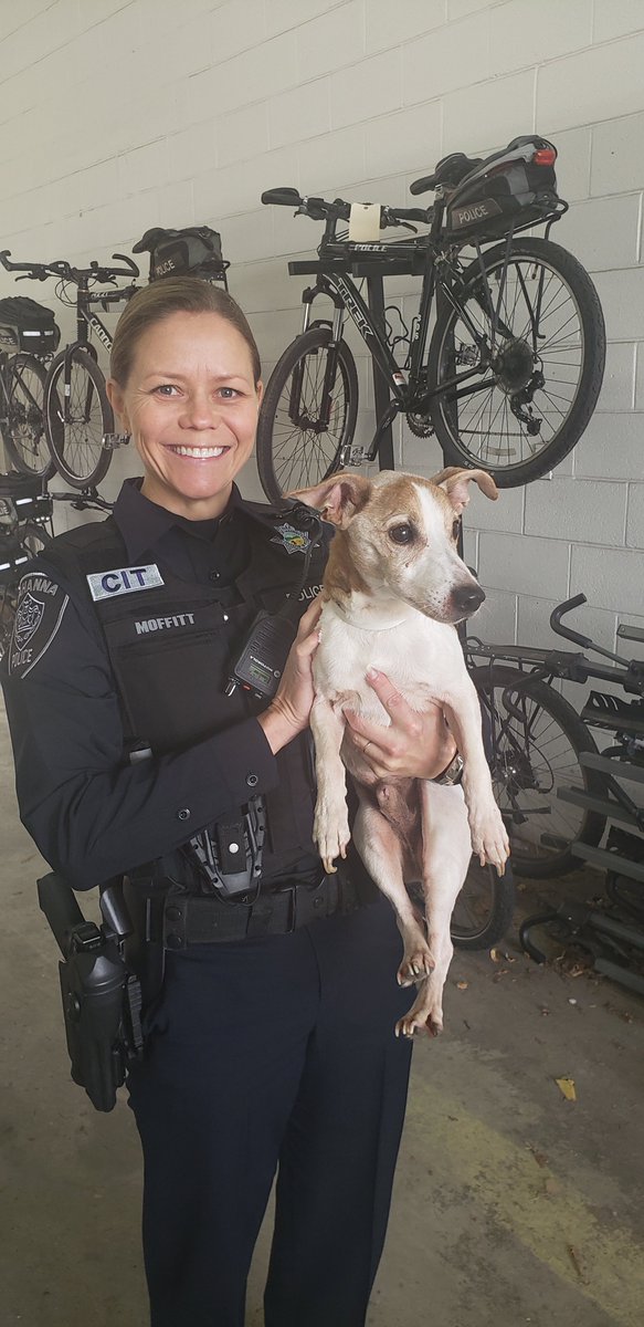 I was going for a leisurely stroll this morning when I got picked up by the cops. If you know my parents please have them contact the Gahanna Police Department before they put me in puppy jail!