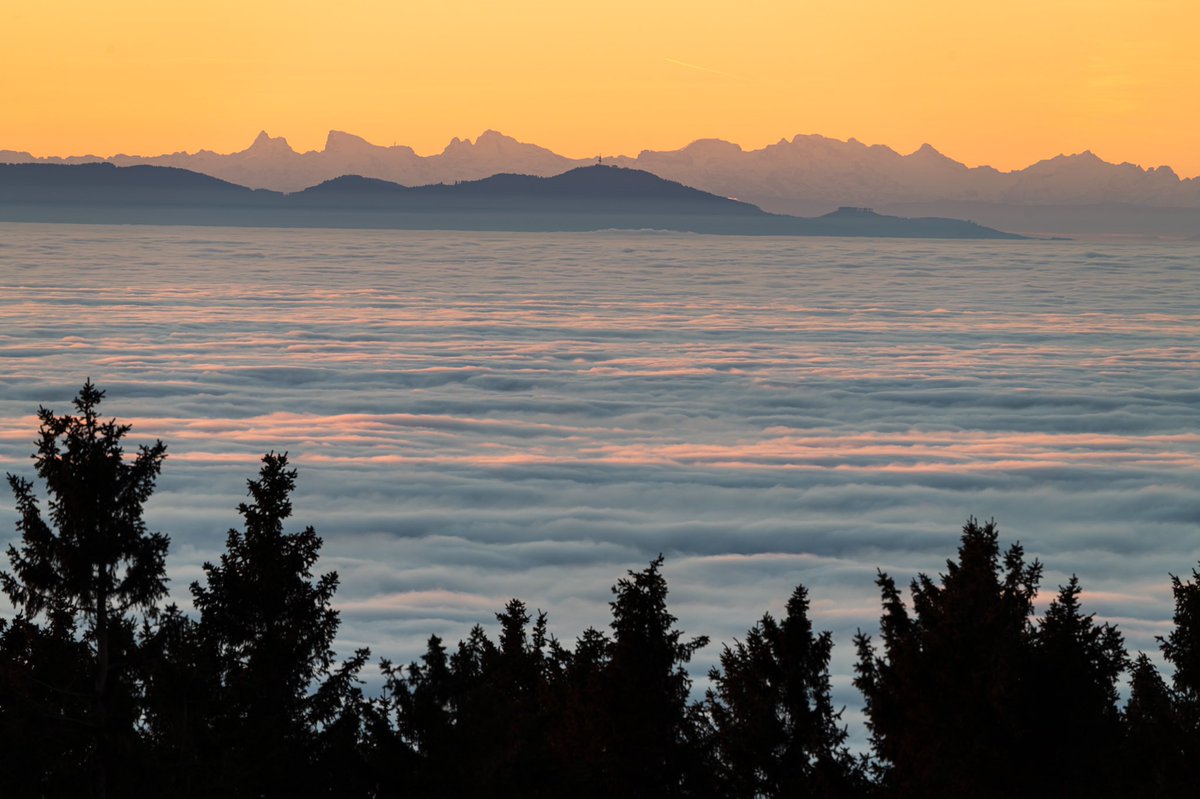 Cédrιc tweet media