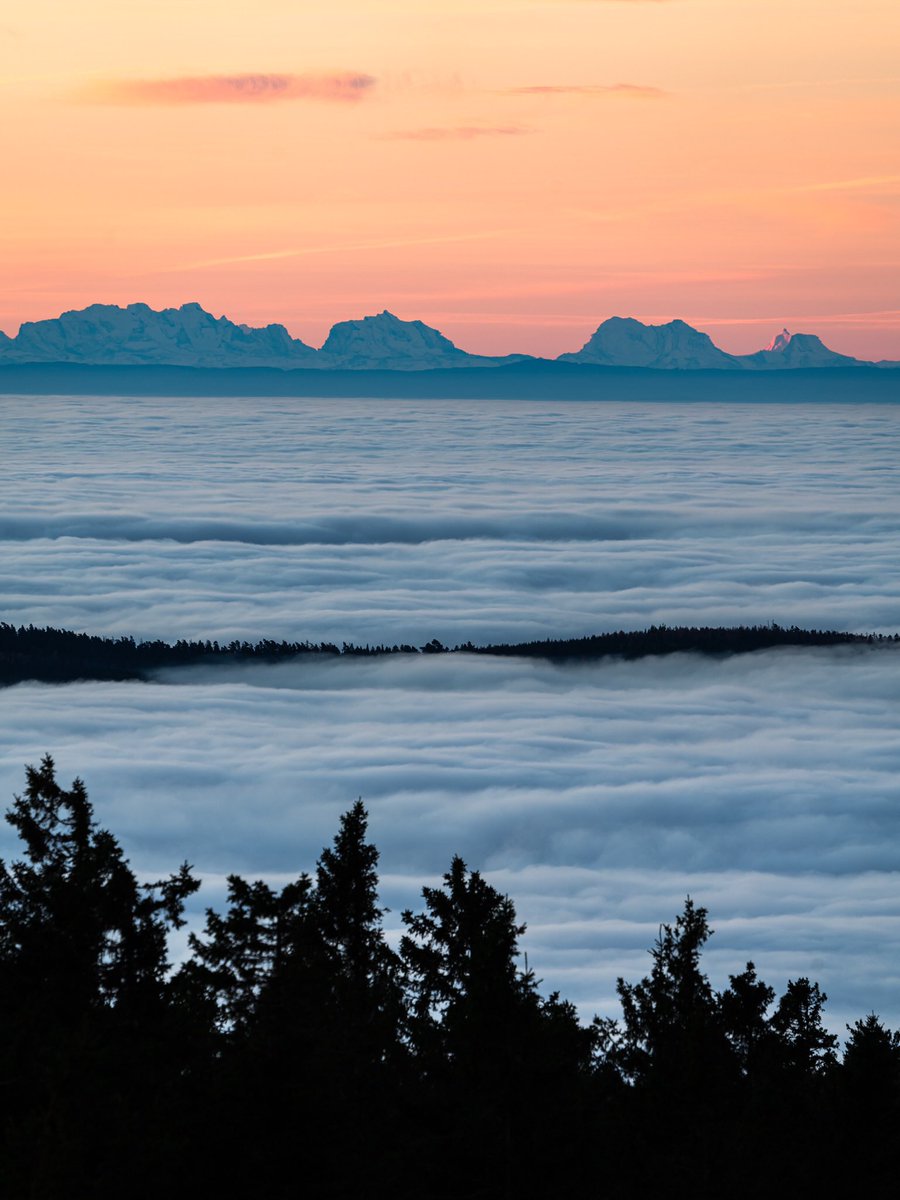 Cédrιc tweet media